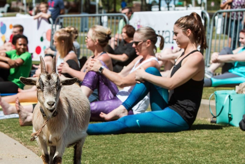 Yoga Trends Yoga Trends
